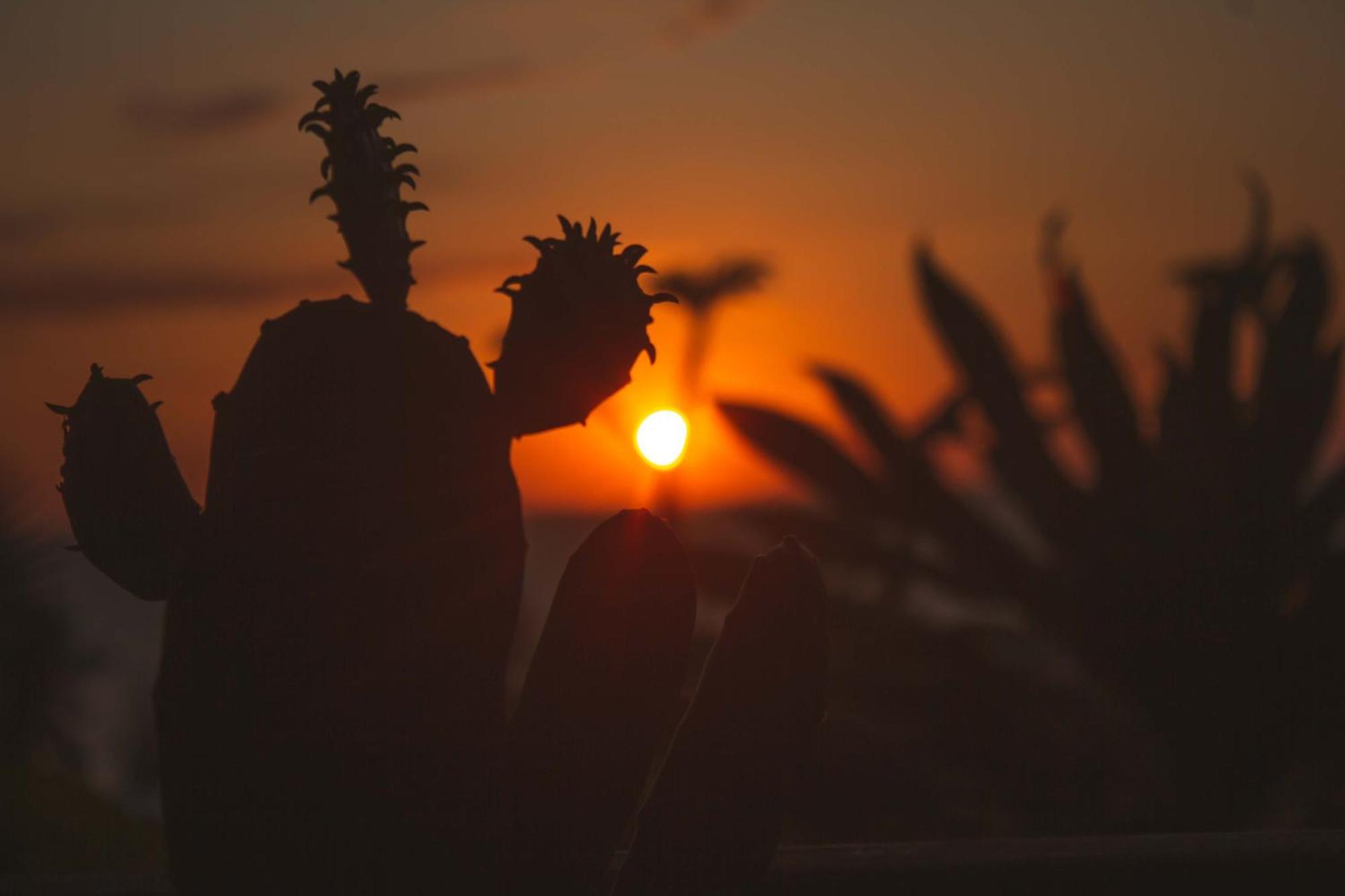 Coucher De Soleil Ambatoloaka  Exteriér fotografie